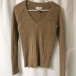 American Eagle V-Neck Sweater
